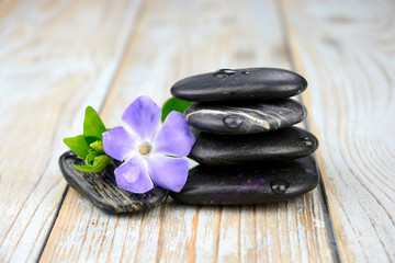 Fototapeta na wymiar Black zen stones with purple flower on old wood