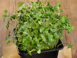 Cress salad on a  wooden background.