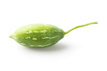 Ivy gourd