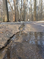 весеняя прогулка по парку