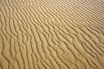 Sand Background