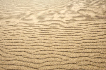 Sand Background