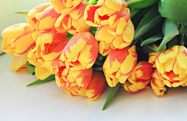 bouquet of yellow spring tulips