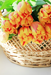 Fototapeta na wymiar bouquet of yellow tulips in straw basket