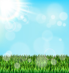 Fototapeta na wymiar Green grass lawn with sunlight on blue sky. Floral nature spring