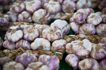 Garlic bunches in a market