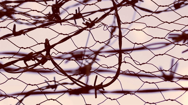 No Escape Barbed Wire