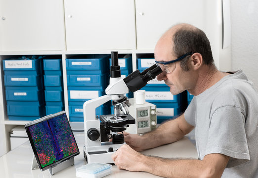 Senior male scientist or tech works with microscope