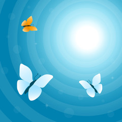 Fototapeta na wymiar Flying butterflies