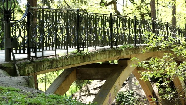 Pedestrian Large Bridge in the Park