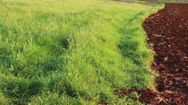 Green and red