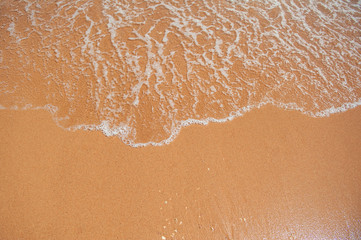 Fototapeta na wymiar sandy beach and a wave of the sea