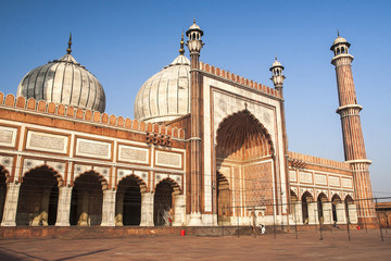 Fototapeta na wymiar Jama Masjid Mosque in Delhi
