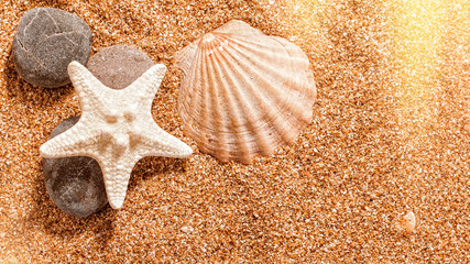 Fototapeta na wymiar Summer trip still life over sand. Shellfish and starfish