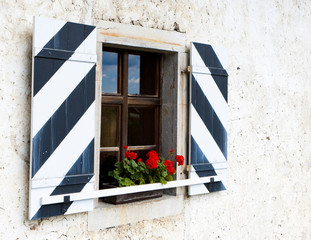 Window with  red flowers
