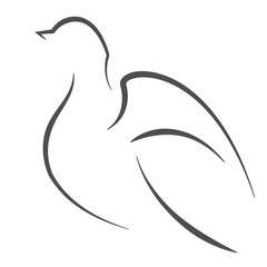 Dove outline