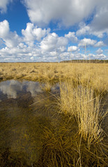 Scene with small lake in steppe