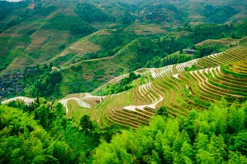 Fotobehang Yaoshan Mountain Rice Terraces in Guangxi Province, China © SeanPavonePhoto