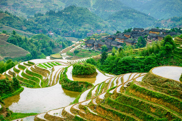 Guilin, China Rice Terraces