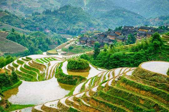 Fototapeta Guilin, China Rice Terraces