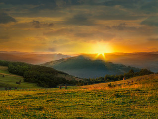 Fototapeta premium Wild plants and stack of hay at sunset