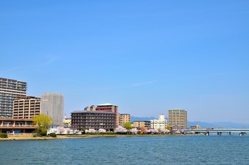 Fototapeta premium 春の瀬田川