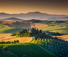 Foto op Canvas Scenic Tuscany landscape at sunrise, Val d'Orcia, Italy © JFL Photography