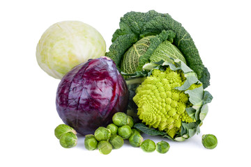 Types Of Cabbages
