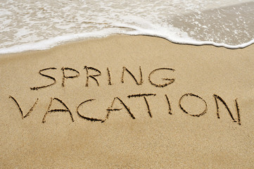 spring vacation on the beach