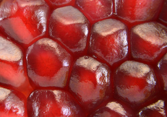 pomegranate closeup