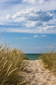 Weg zum Strand in Tisvildeleje - D&auml;nemark
