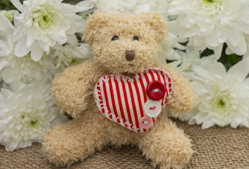 Pleasant surprise to girl on Valentine's Day