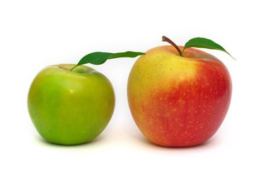 red and green apple
