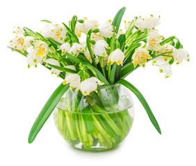 Spring snowflake flowers in glass bowl