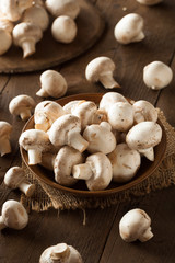 Fototapeta na wymiar Raw Organic White Mushrooms