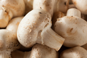 Raw Organic White Mushrooms