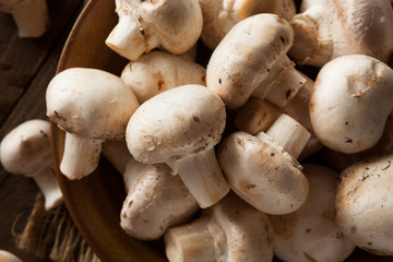 Raw Organic White Mushrooms