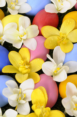 Obraz na płótnie Canvas Easter spring crocus flowers and hidden easter eggs on grass photo vertical