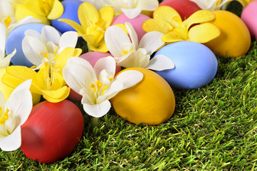 Easter spring border with crocus flowers and hidden easter eggs on grass photo
