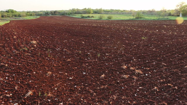 Red Istrian soil