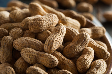 Salted Roasted Shelled Peanuts