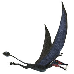 Dorygnathus Pterosaur over White © Catmando