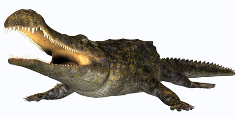 Fototapeta premium Sarcosuchus Reptile