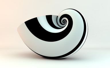 golden spiral shell stripes