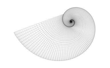 golden spiral shell grid