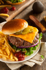 Grass Fed Bison Hamburger