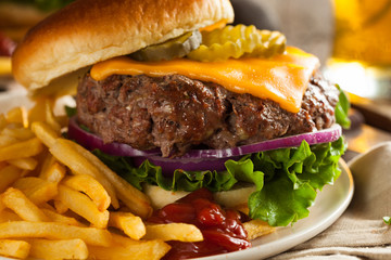 Grass Fed Bison Hamburger