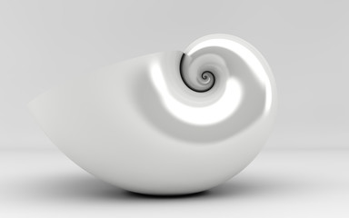 golden spiral shell