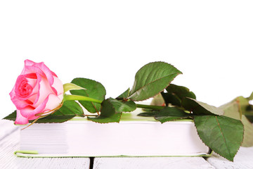 Beautiful rose with book isolated on white