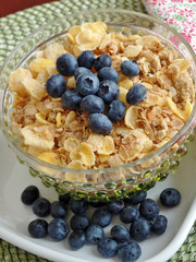 A bowl of breakfast cereal topped with blueberries